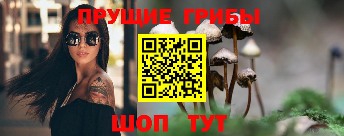 хочу наркоту  Псилоцибиновые грибы Psilocybine cubensis  Луга  Вход с VPN  Псилоцибиновые грибы Psilocybe 